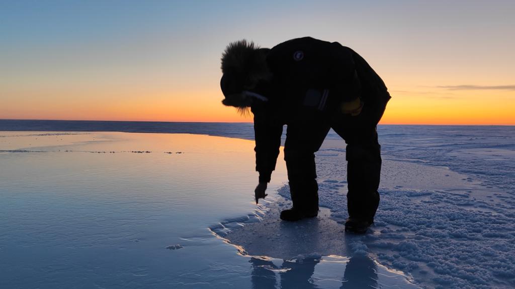 Scientists examine sea ice in the Arctic
