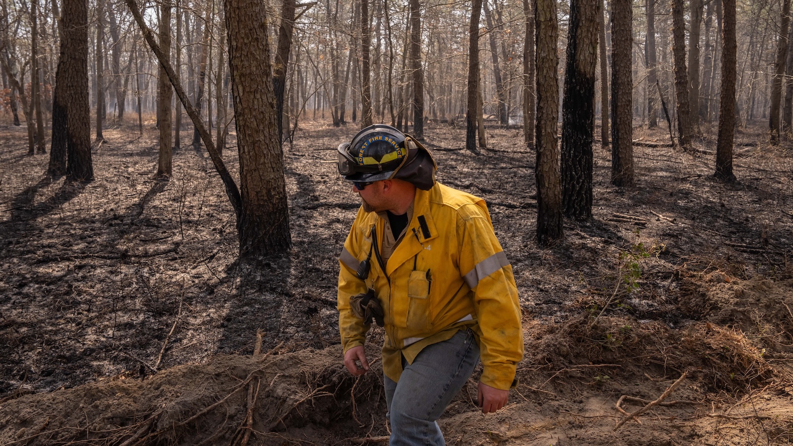 A firefighter walks through a scorched section of forest that burned in a massive wildfire in New Jersey.