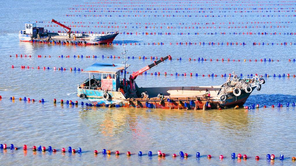 Two boats on water divided by buoys.