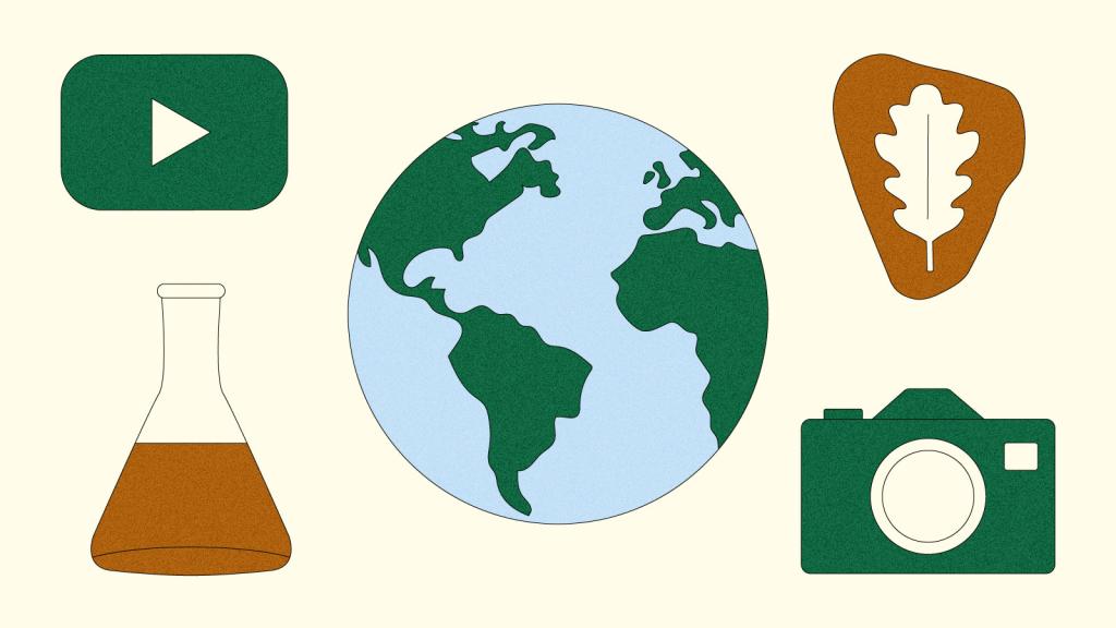 Illustration of earth, YouTube icon, leaf fossil, beaker, and camera