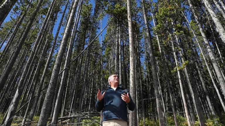 An older man gestures while standing in front of a copse of tall trees