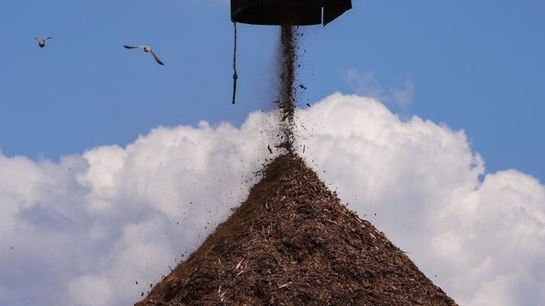 Birds fly past a pile of wood used to make pellets at a Drax facility in Gloster, Mississippi.