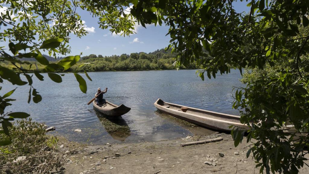 Josh Norris a Yurok planner and tribal member lands a redwood canoe on the lower Klamath River on Tuesday, June 8, 2021 in Klamath, Calif. As the salmon of the Klamath have dwindled the Yurok tribe has turned to alternative revenue like eco tourism and canoe tours in an effort to support their people.