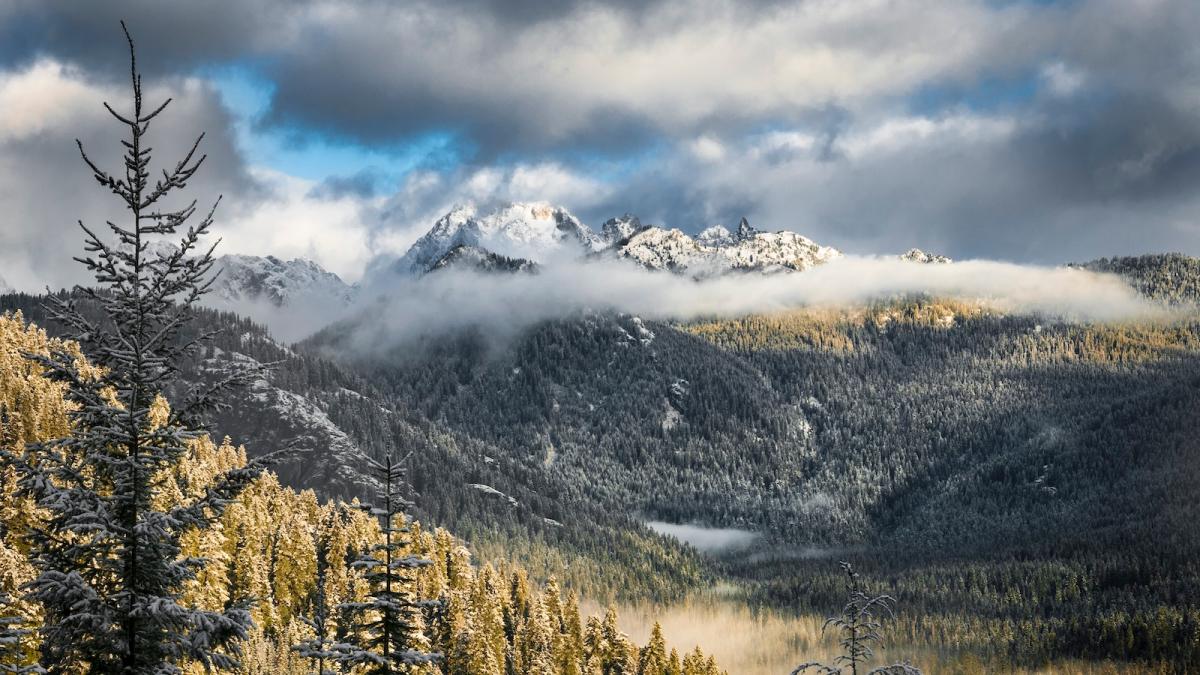 Landscape view of a mountain with trees in foreground. Mixed clouds partially obscure the mountain.