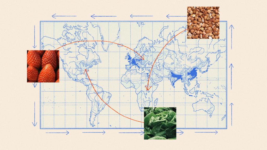 digital collage of world map with 3 photo cutouts of different foods with arrows drawn on top