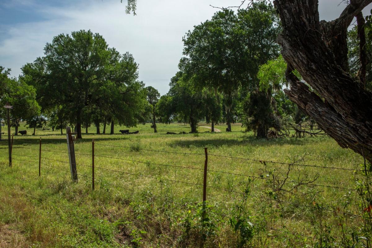 Data centers are building their own gas power plants in Texas | Grist