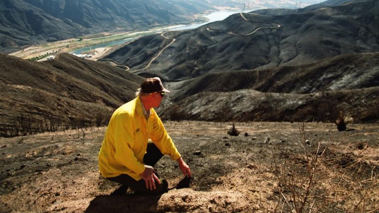 Glenn Harris of the Bureau of Land Management surveys the scorched land of the watershed above Casatic Power Plant in the hills above Los Angeles.