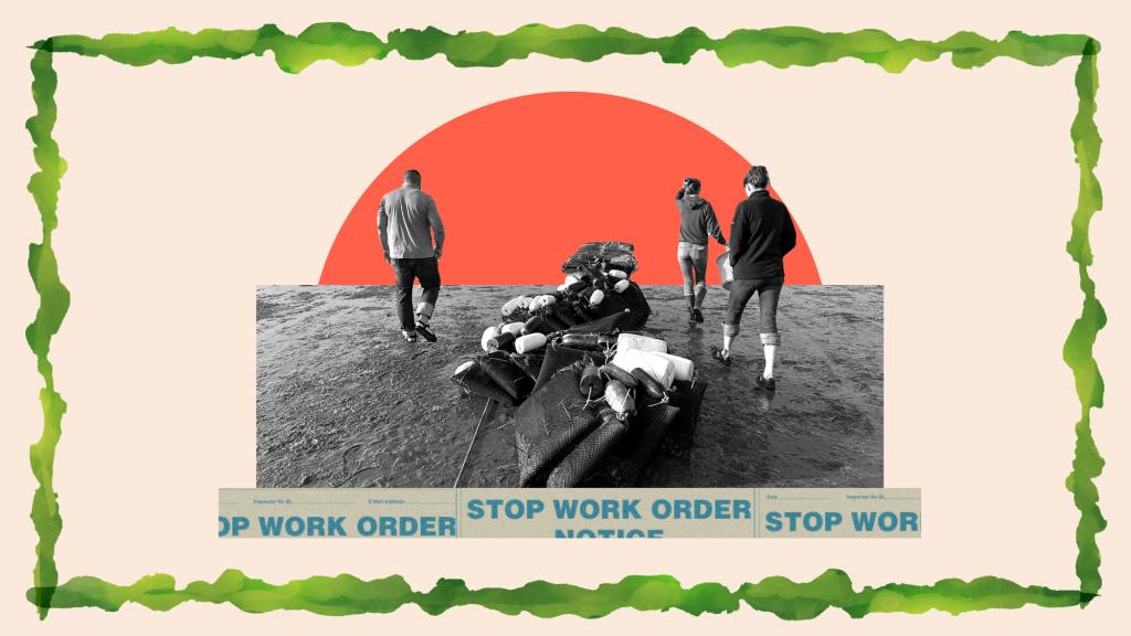 digital collage of three people on a beach walking away from the camera with a setting sun and seaweed border