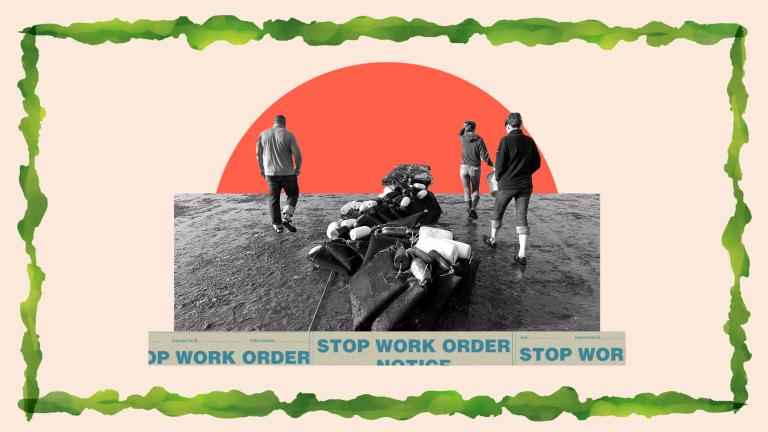 digital collage of three people on a beach walking away from the camera with a setting sun and seaweed border