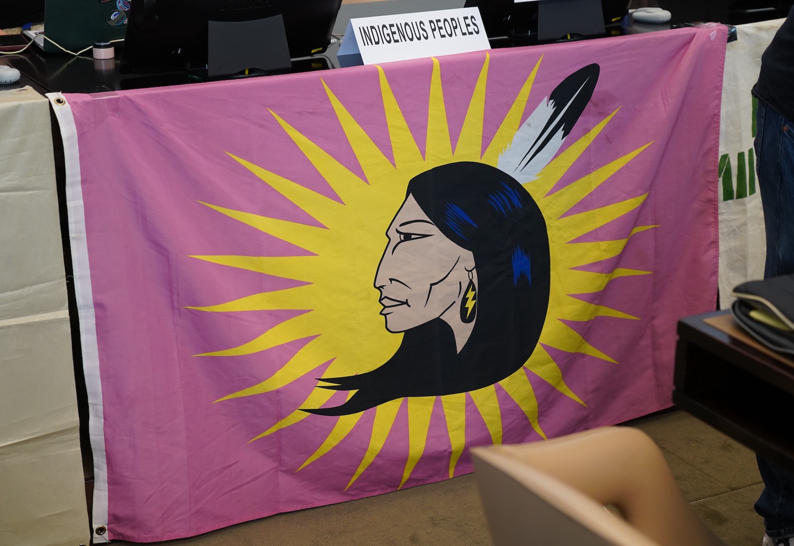 Art featuring a Native woman with a feather in her hair against a yellow sun, set against a pink backdrop.