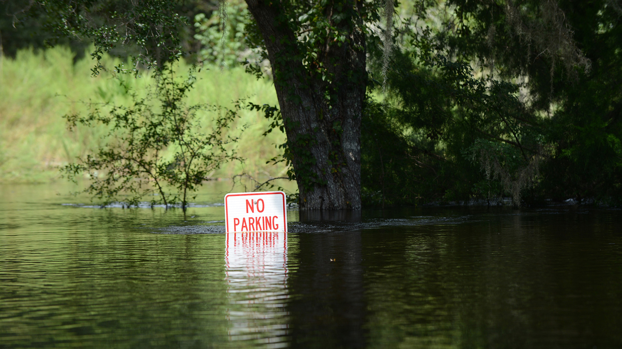 A "no parking" sign is nearly completely submerged in floodwater from Florida's Santa Fe River during Hurricane Irma in 2017