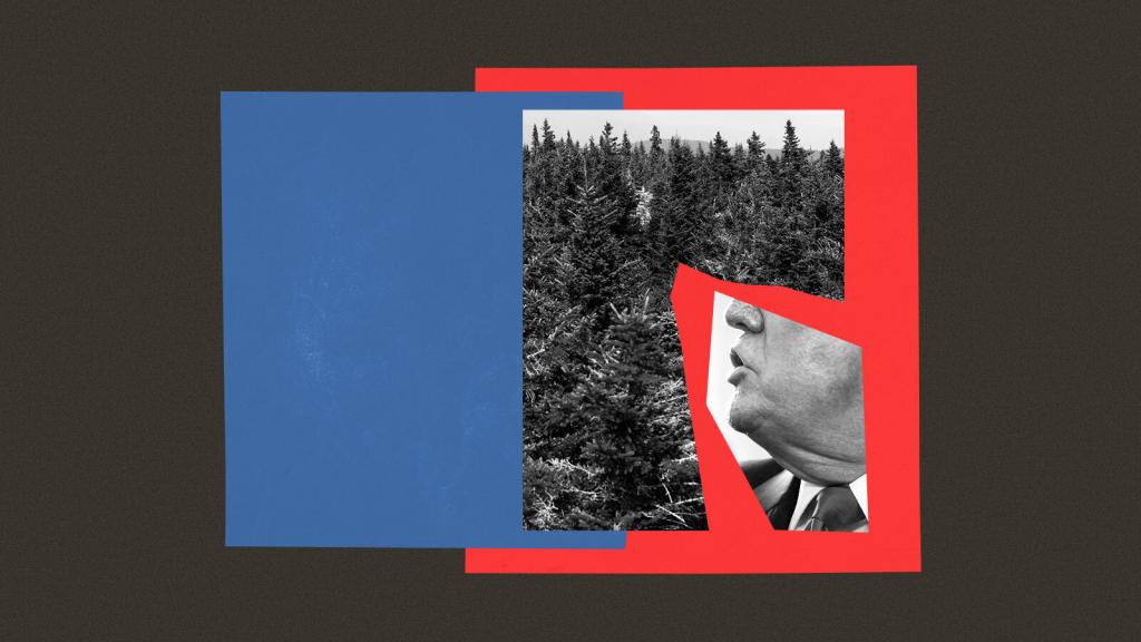 Collage of forest, Trump, and blue and red squares