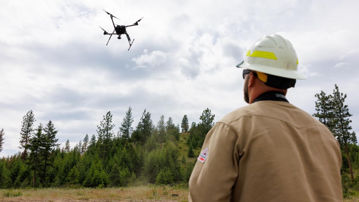 A photo shows a man in a hard hat looking up at a drone flying above a forest on a cloudy day