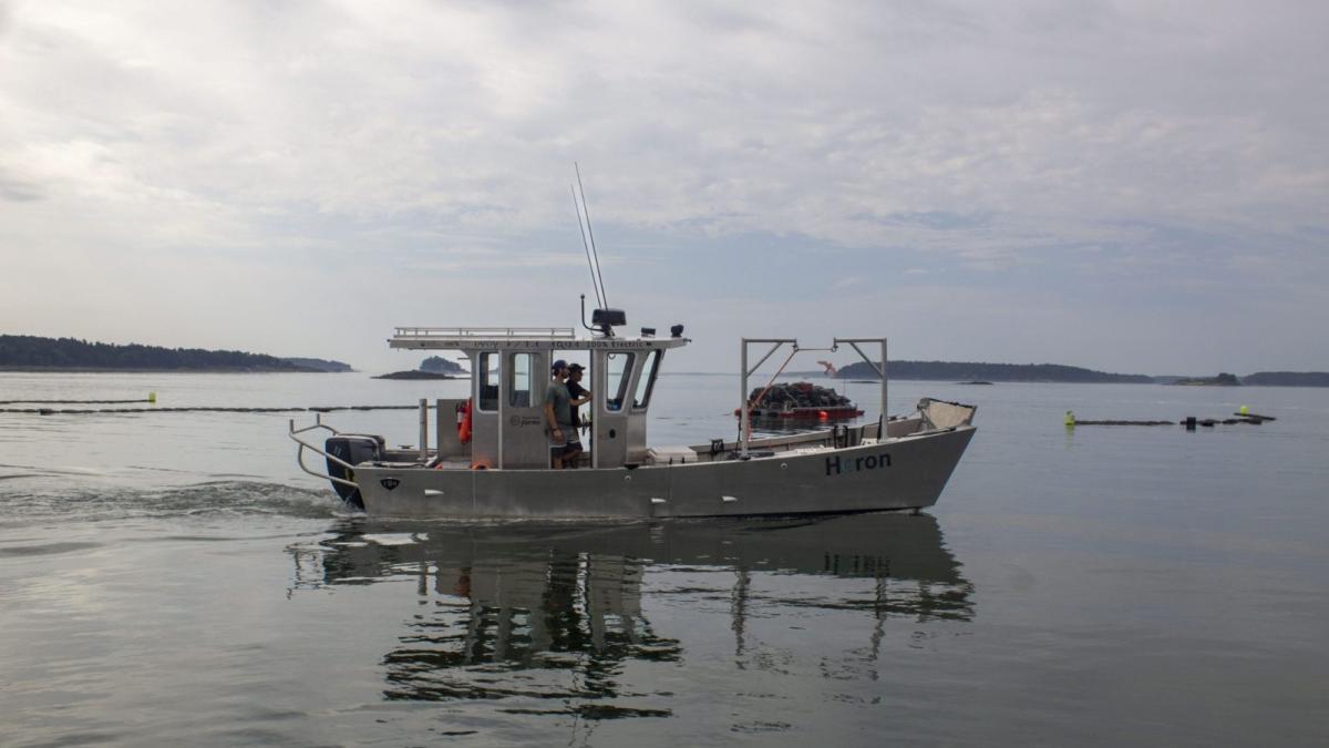 A small fishing boat sits in calm waters with two men on board