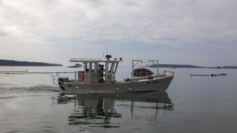 A small fishing boat sits in calm waters with two men on board