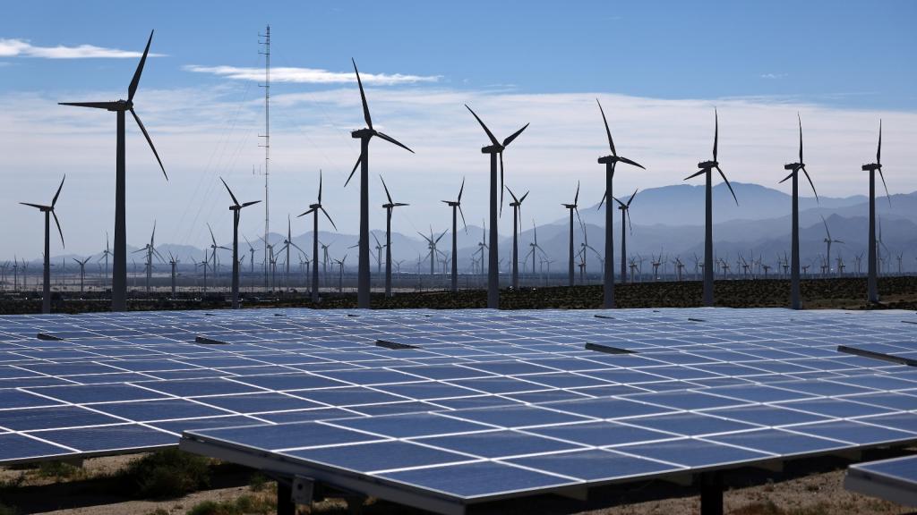 Dozens of wind turbines spin against a blue sky with solar panels in the foreground