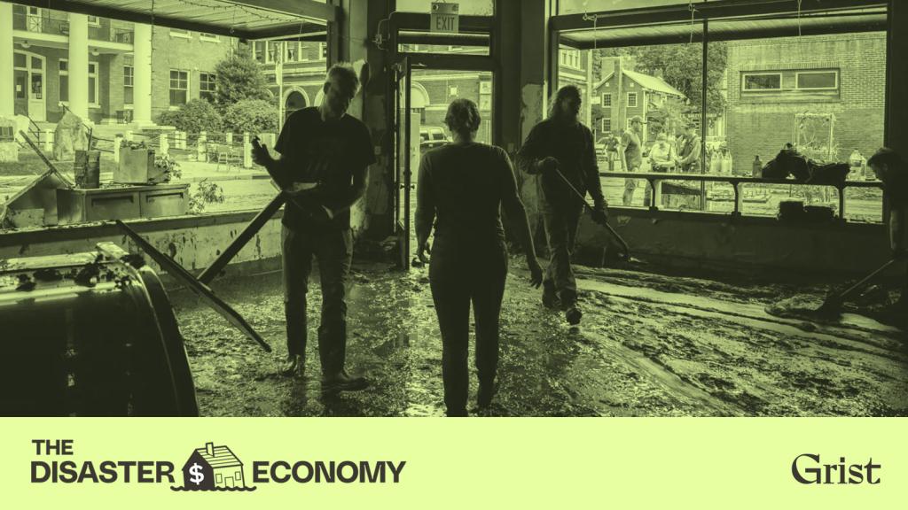 The Disaster Economy