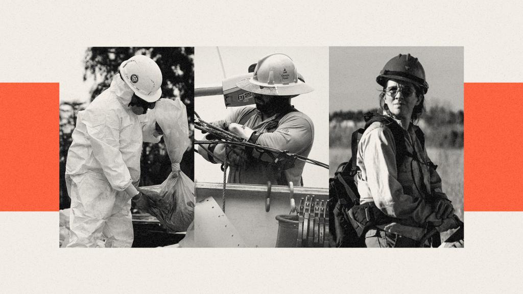 Collage of a worker wearing a hazmat suit cleaning up after wildfire, a worker repairing a power line, and a firefighter standing in a field