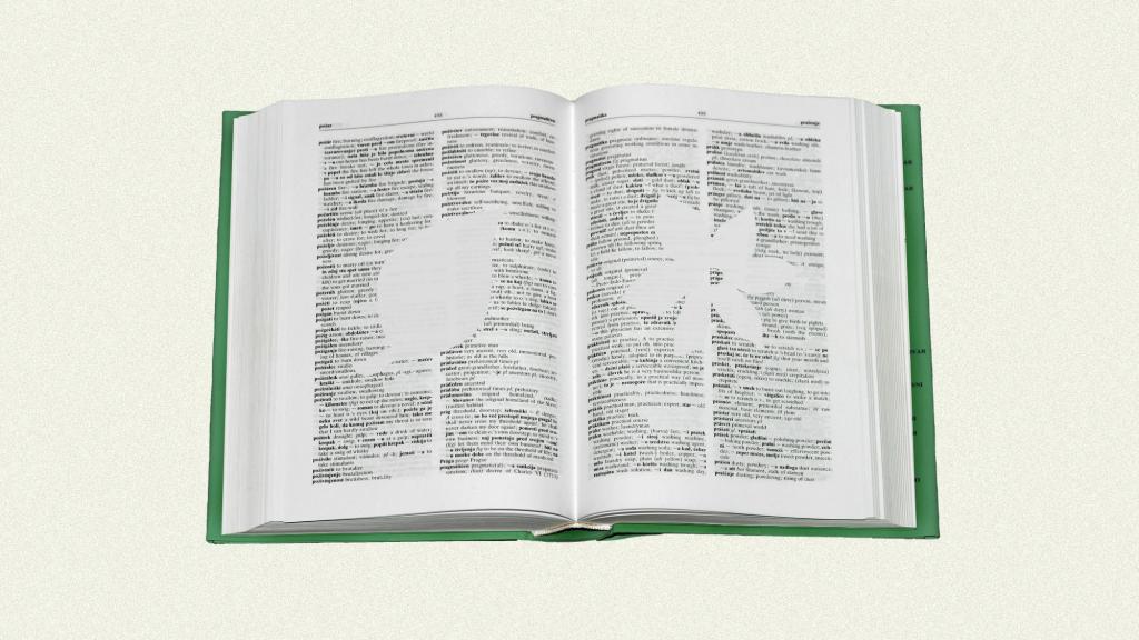 Open dictionary with blank silhouettes of leaf and flower