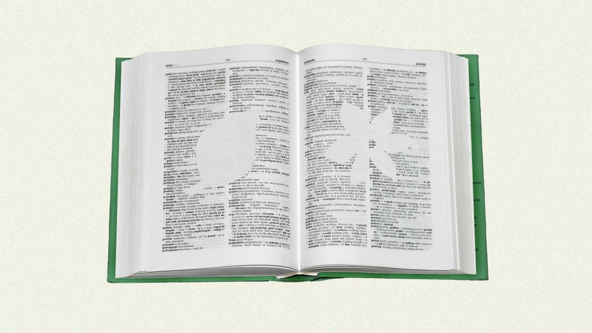 Open dictionary with blank silhouettes of leaf and flower