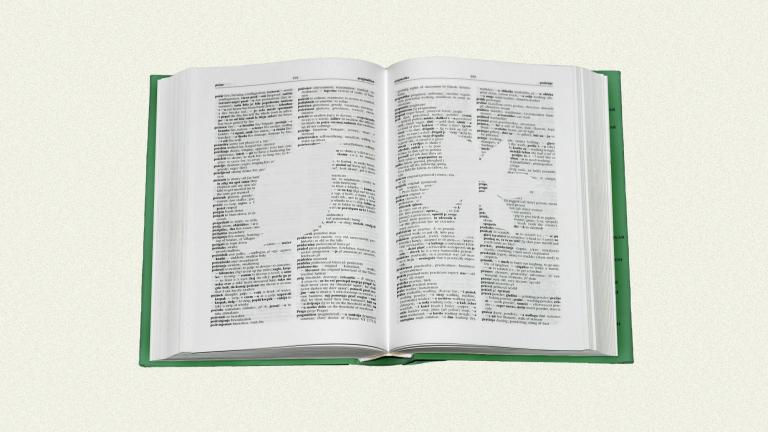 Open dictionary with blank silhouettes of leaf and flower