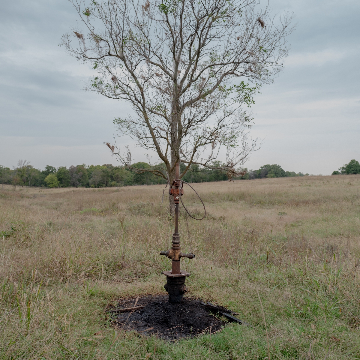 In a grid of four photos, the first one shows a man wearing a T-shirt and shorts standing in a field, and the other three show blackened oil and gas wells. One sticks up near a tree and sits in a circle of black amid a field of grass, one is an elbow of pipe with wet and blackened ground beneath it, and one is a rusty stub of pipe sticking straight up out of the ground.