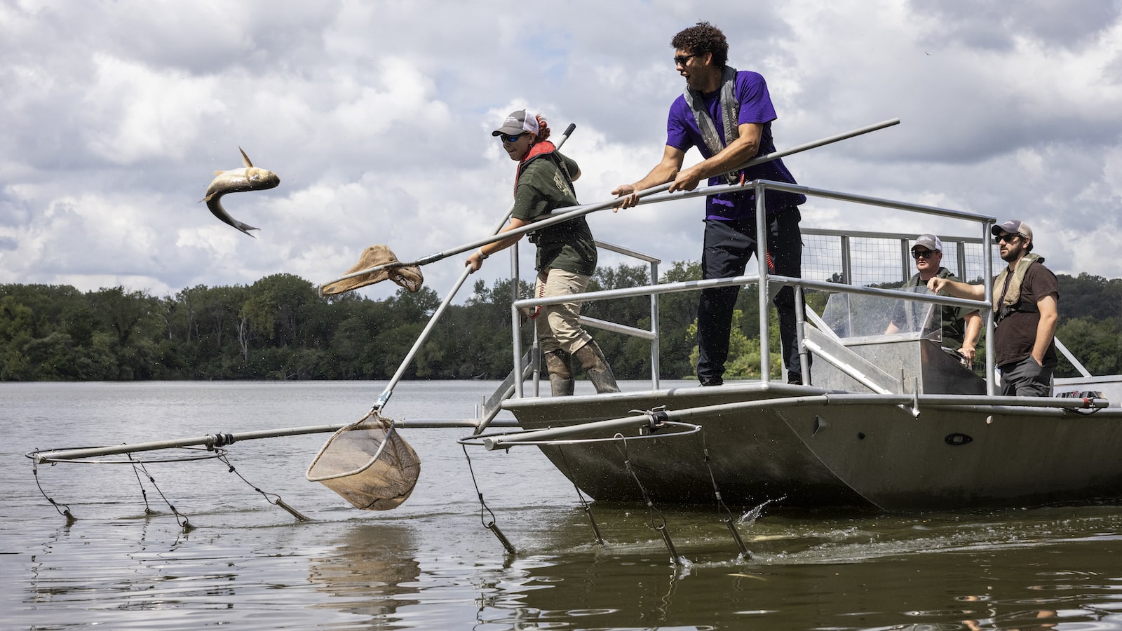 Illinois clears major hurdle in containing an invasive fish | Grist