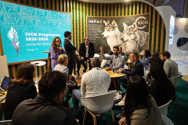 A gathering of people in a room