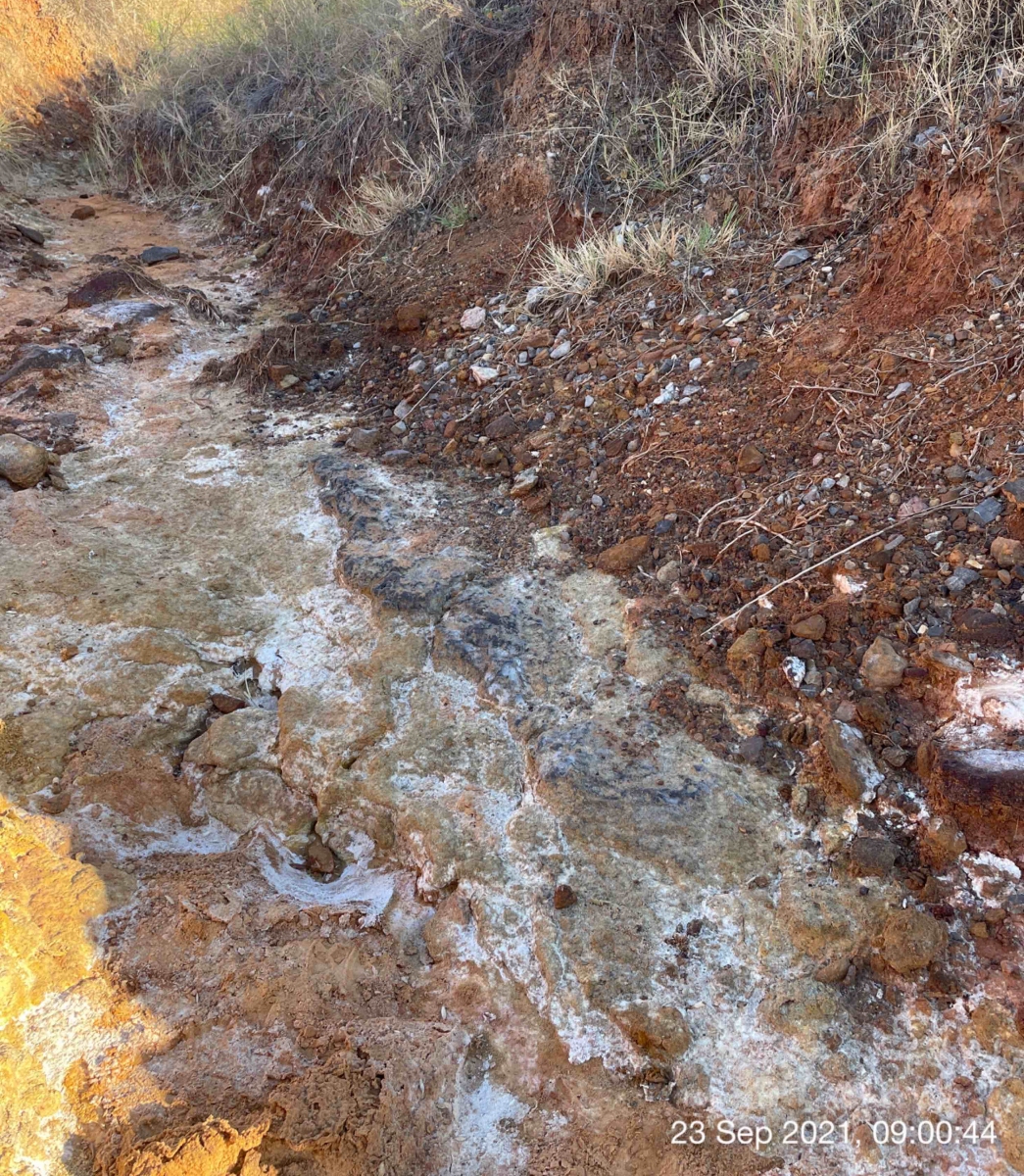 Three photographs show white residue covering muddy ground. Dead grass is visible in one of the photos.