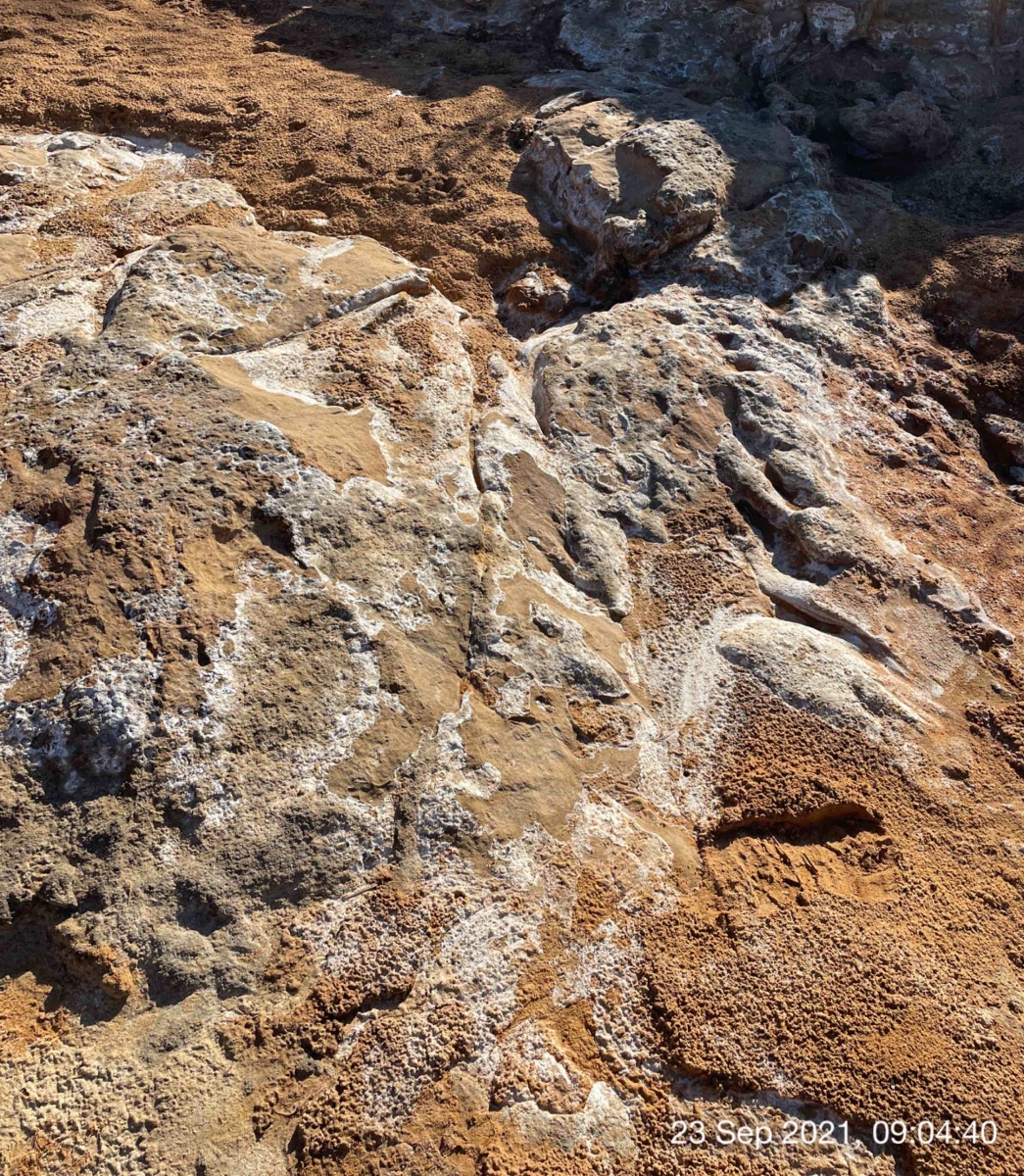 Three photographs show white residue covering muddy ground. Dead grass is visible in one of the photos.