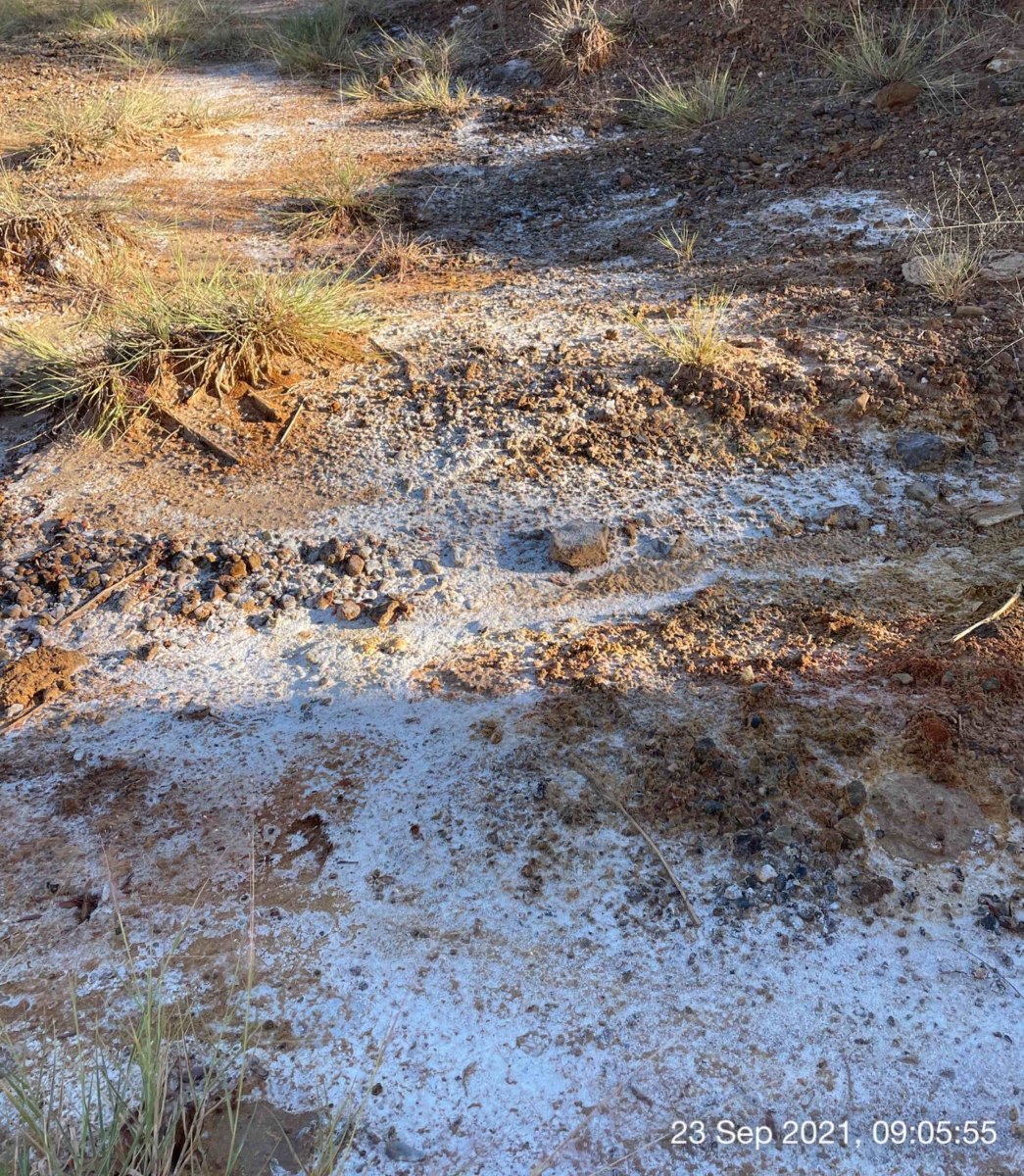 Three photographs show white residue covering muddy ground. Dead grass is visible in one of the photos.
