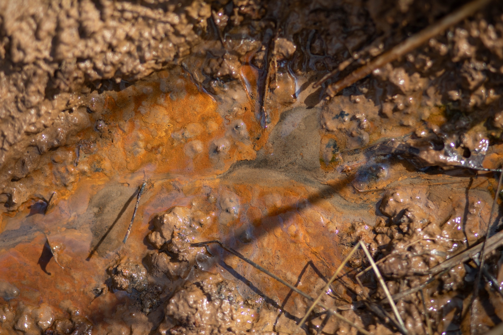 A close-up image of reddish, oily water in mud.
