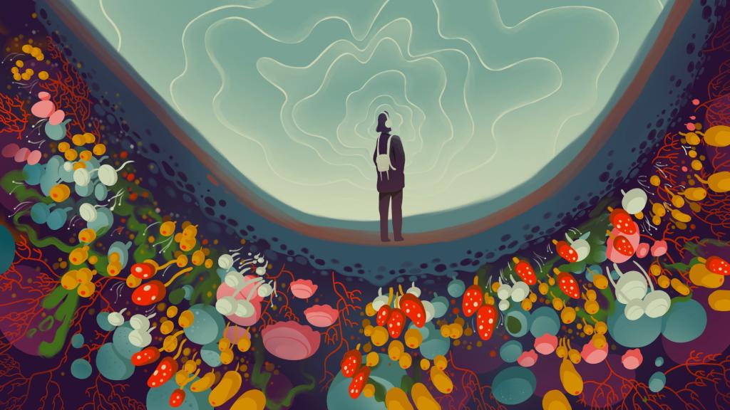 Stylized illustration depicts a silhouette wearing headphones with sound waves radiating around. Below their feet is a bright world of mushrooms and fungi.