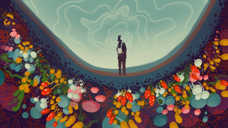 Stylized illustration depicts a silhouette wearing headphones with sound waves radiating around. Below their feet is a bright world of mushrooms and fungi.