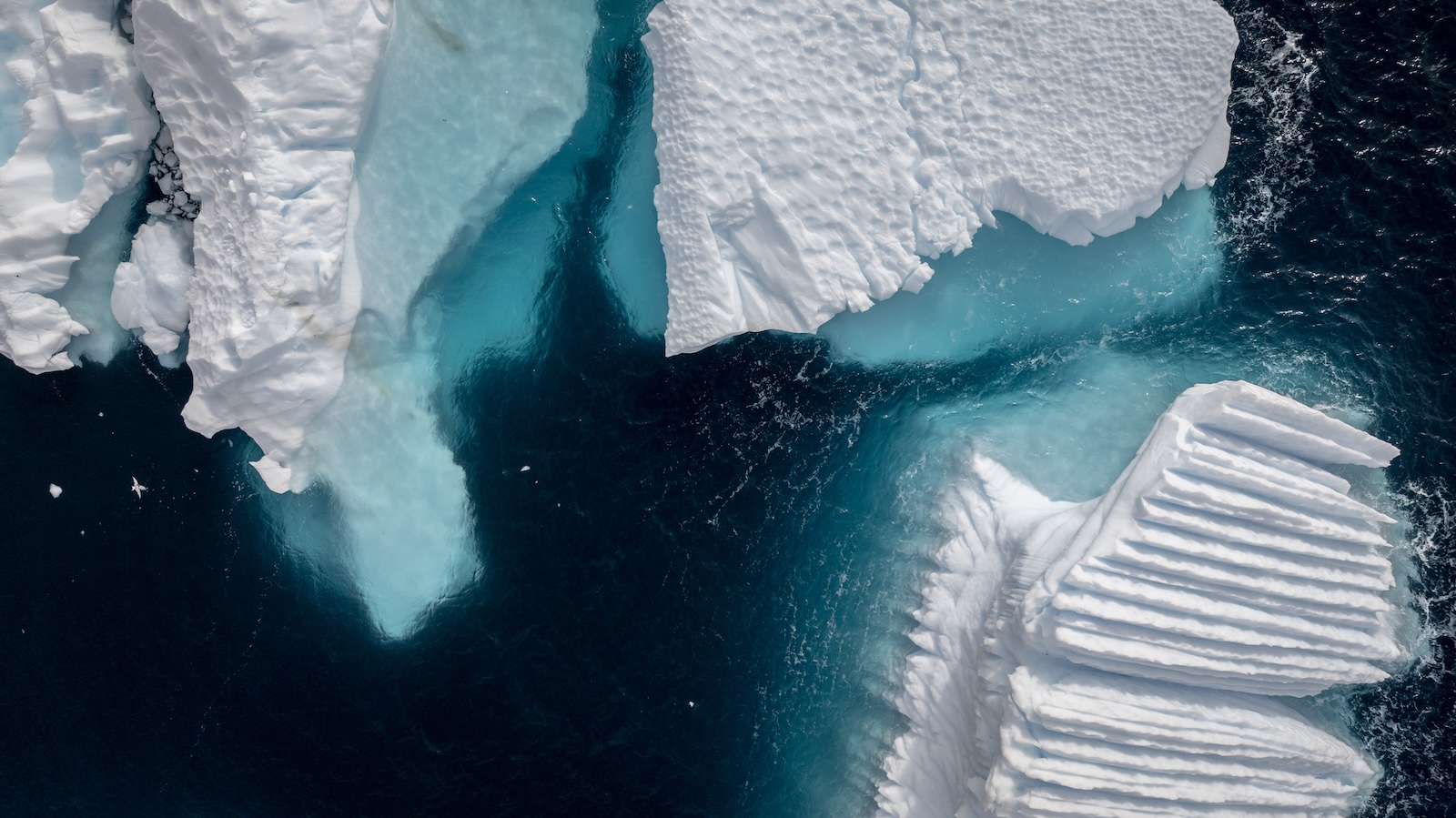 Aerial view of an ice sheetg