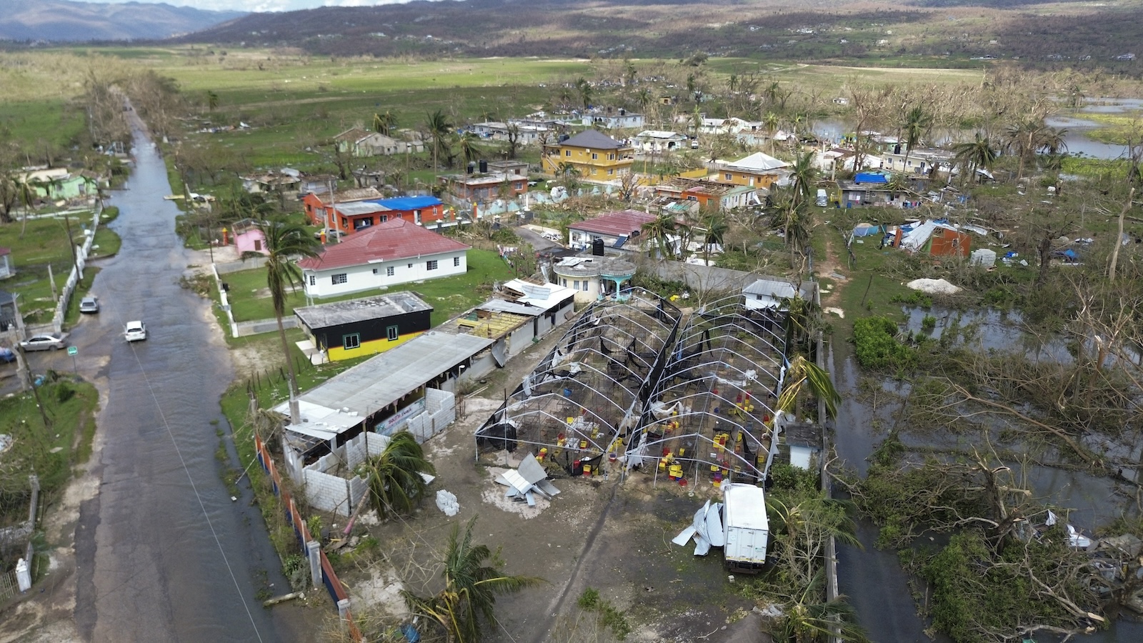 photo of What will it take to rebuild Jamaica’s food system after Hurricane Melissa? image