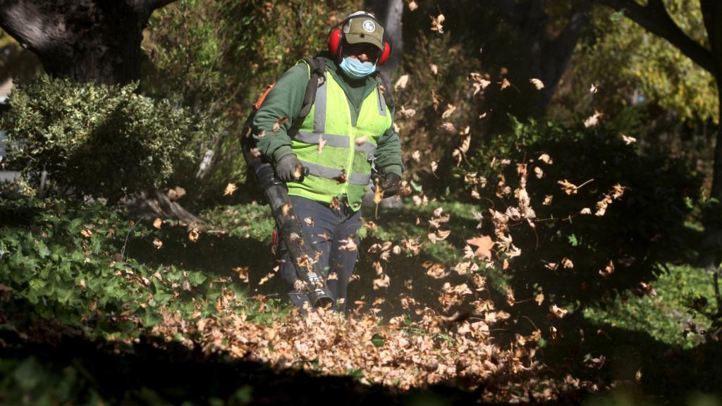 Photos of a worker in a construction vest using a leaf blowers to clear leaves from an areas with trees and shrubs