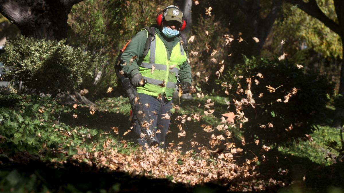 Photos of a worker in a construction vest using a leaf blowers to clear leaves from an areas with trees and shrubs