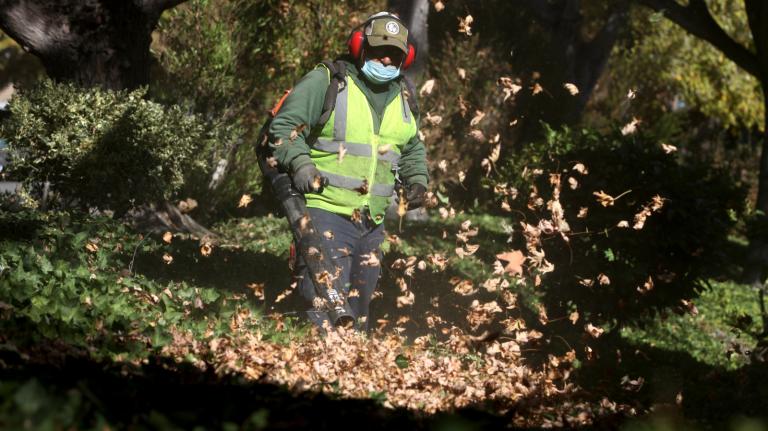 Photos of a worker in a construction vest using a leaf blowers to clear leaves from an areas with trees and shrubs
