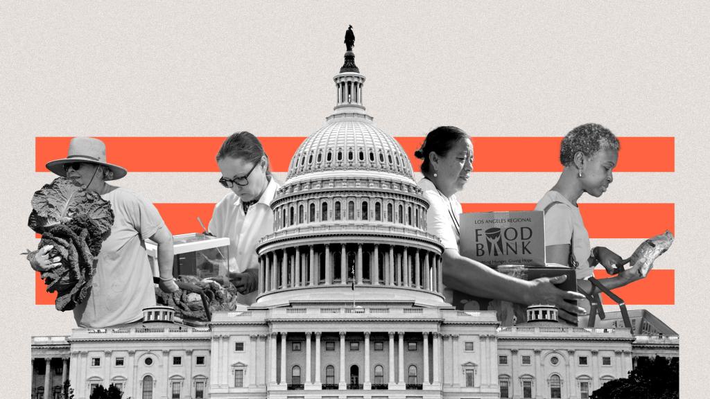 collage of a small farmer, a food scientist, a woman picking up food from a food bank, and a woman grocery shopping with the US capitol building in front of them and bright red stripes in the background