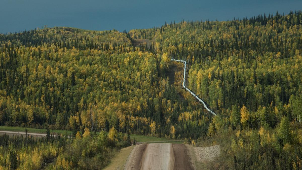 A dirt road leads toward a forested hill, where the Trans-Alaska Pipeline is visible.