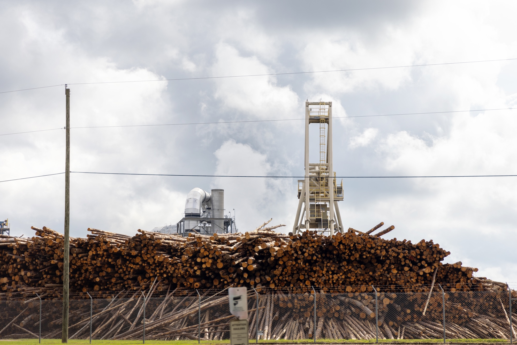 Machines work near a large pile of cut logs