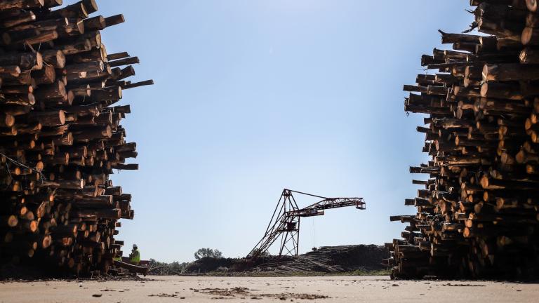 Equipment to move logs in between two giant piles of logs at a biomass facility