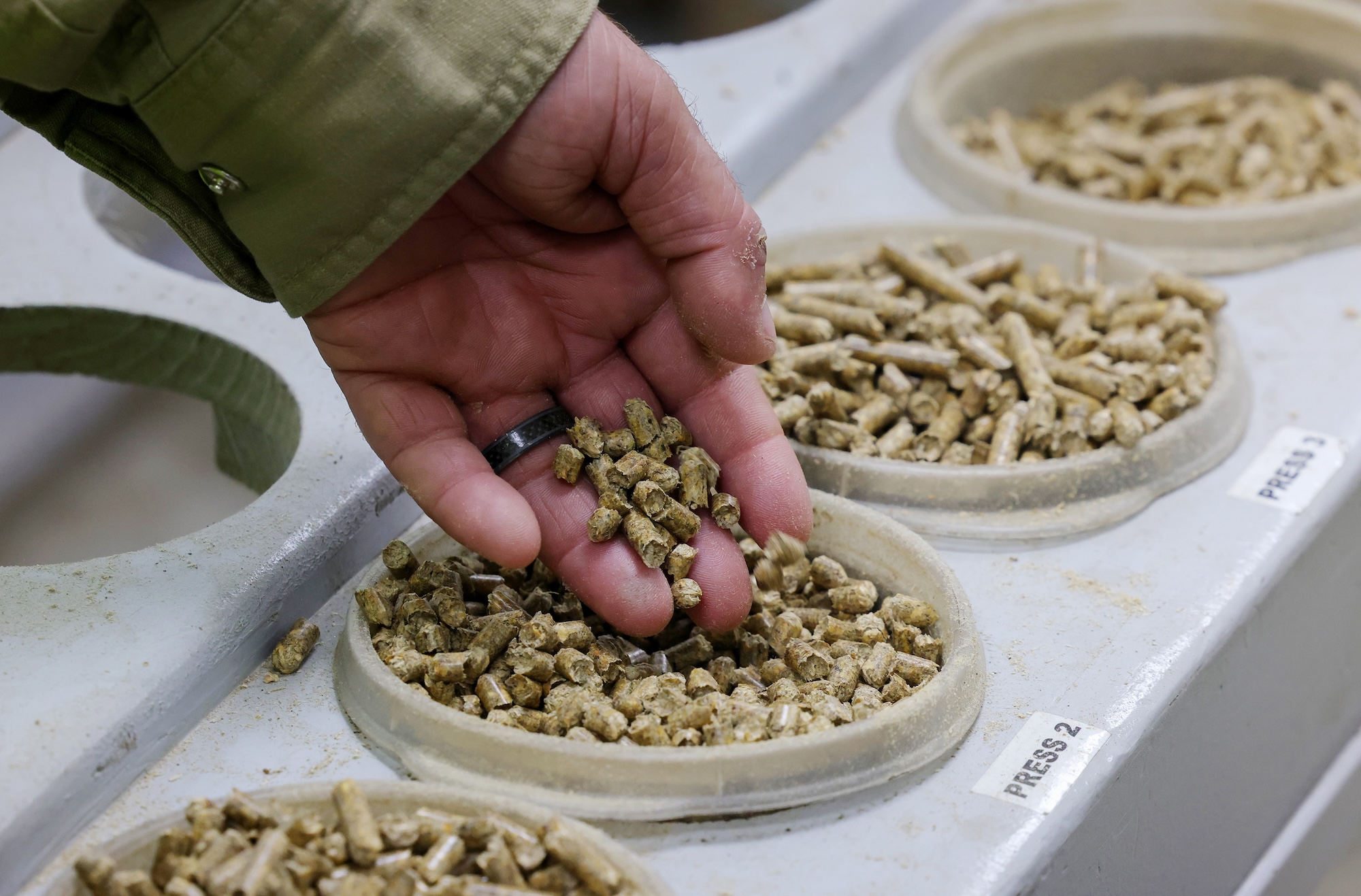 a hand holds pellets from a series of bins