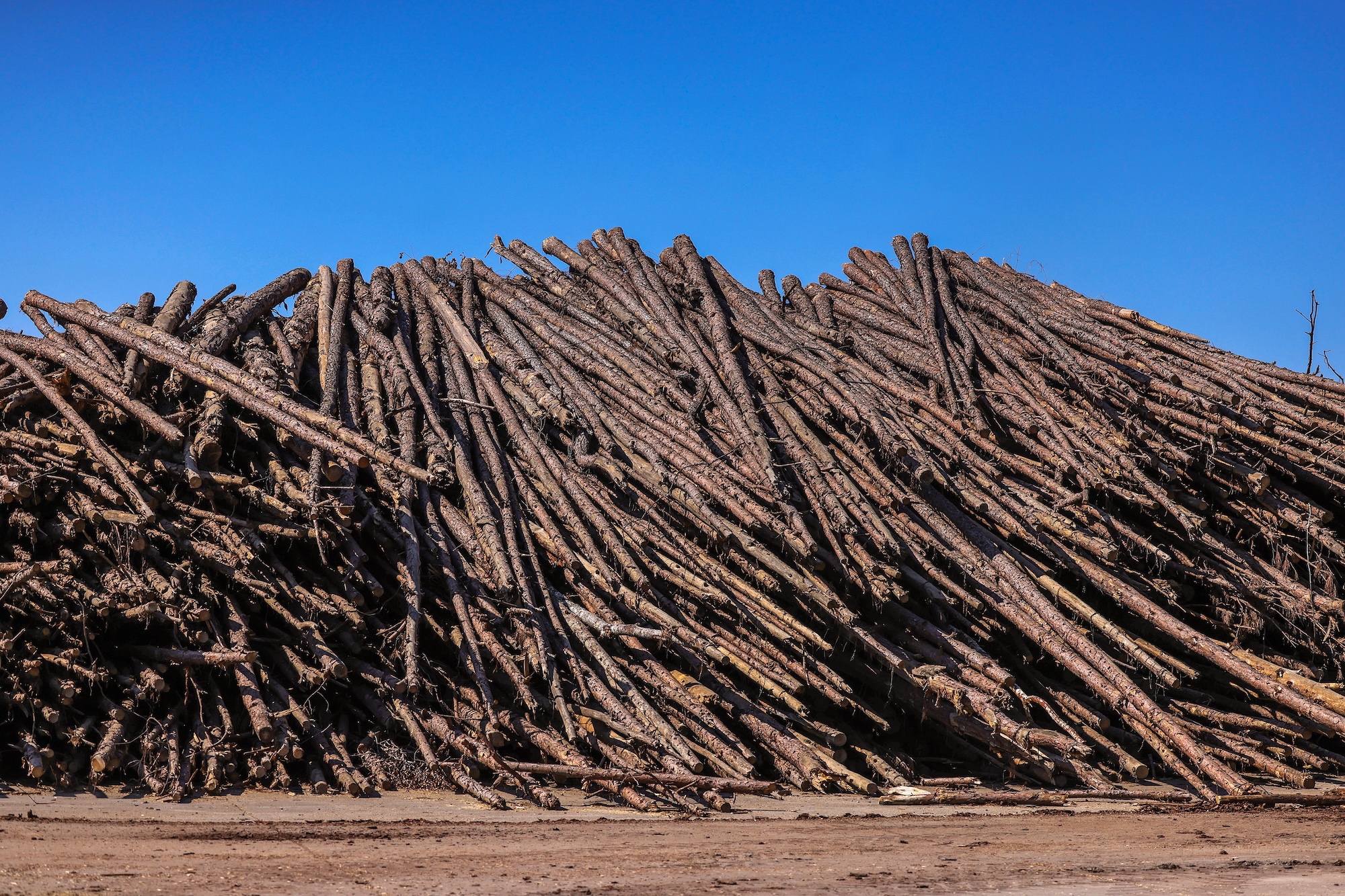 a large pile of wood