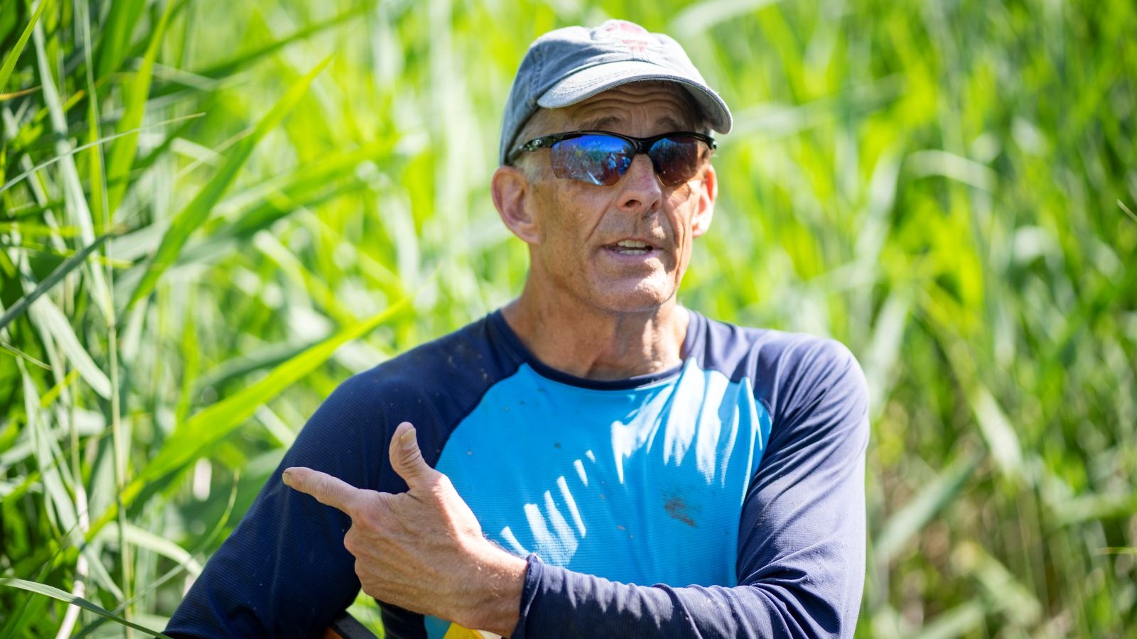 A man with a hat stands in tall reeds talking and pointing to his right.