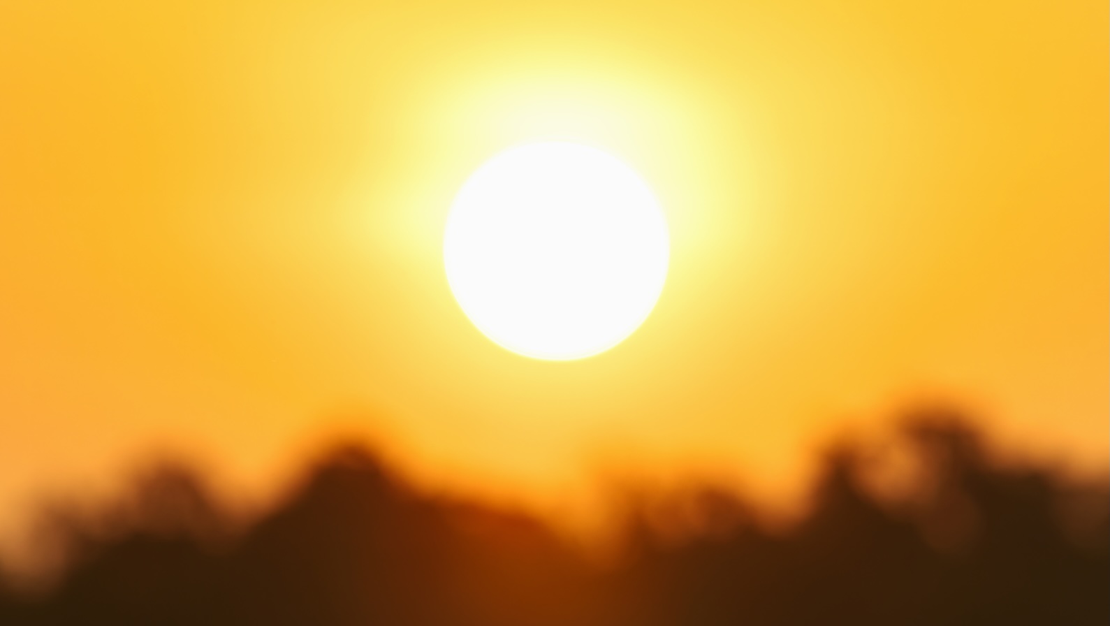 How the planet fared in 2025 — the good, the bad, and the ugly