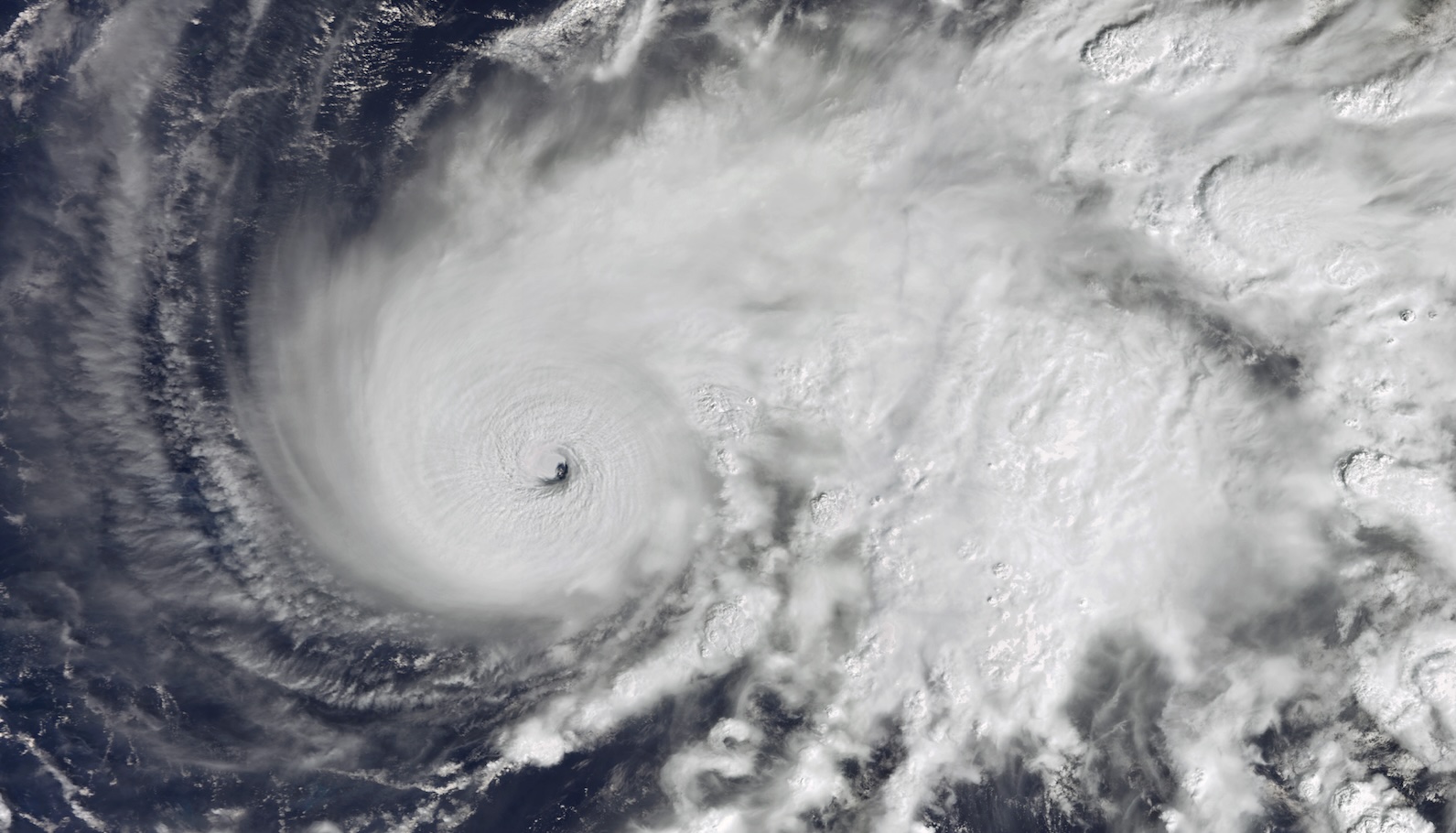 How the planet fared in 2025 — the good, the bad, and the ugly a satellite images of a hurricane