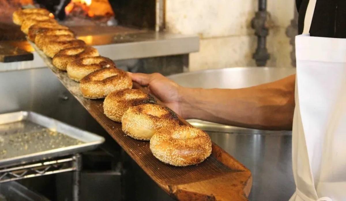 A row of fresh bagels coming out of a commercial oven