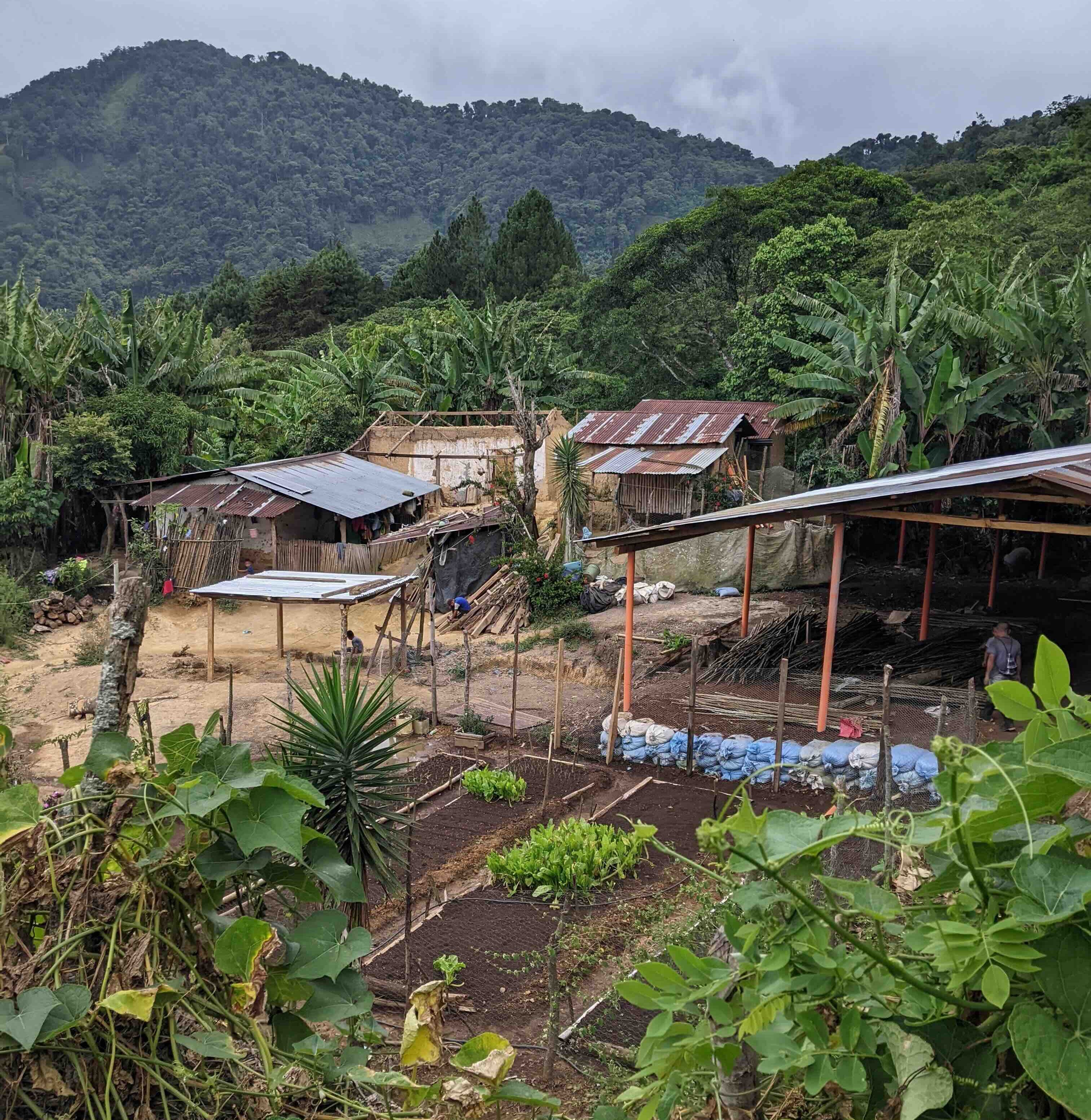 A photo shows a small cluster of thatch-roofed buildings with a garden on a verdant tropical hillside.